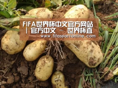 种植基地六
