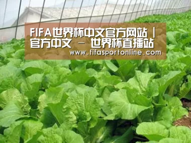 种植基地一