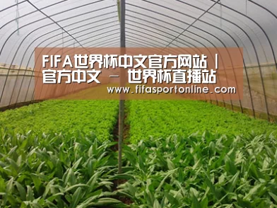种植基地四