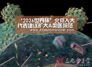 ‘2026世界杯’北京人大代表建议扩大A类医院范围(图1) FIFA世界杯