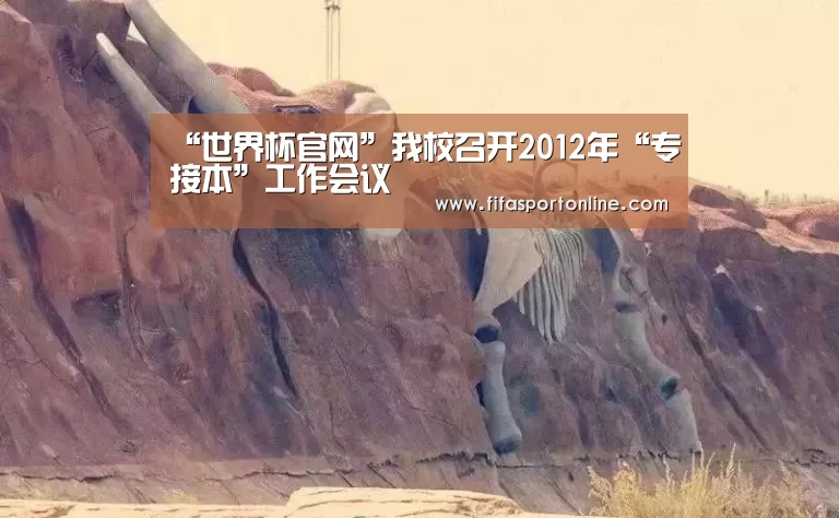 2026世界杯