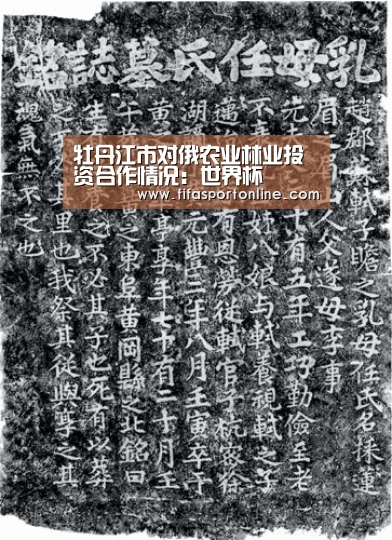 牡丹江市对俄农业林业投资合作情况:世界杯(图1) 世界杯