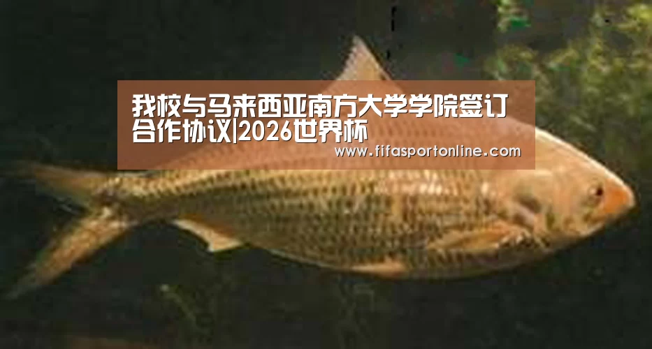 我校与马来西亚南方大学学院签订合作协议|2026世界杯(图1) 世界杯