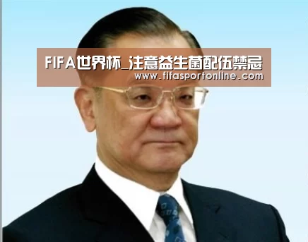 FIFA世界杯