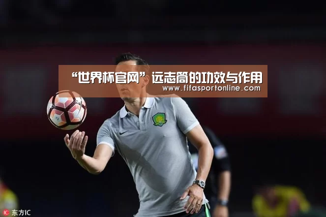 “世界杯官网”远志筒的功效与作用(图1) 2026世界杯