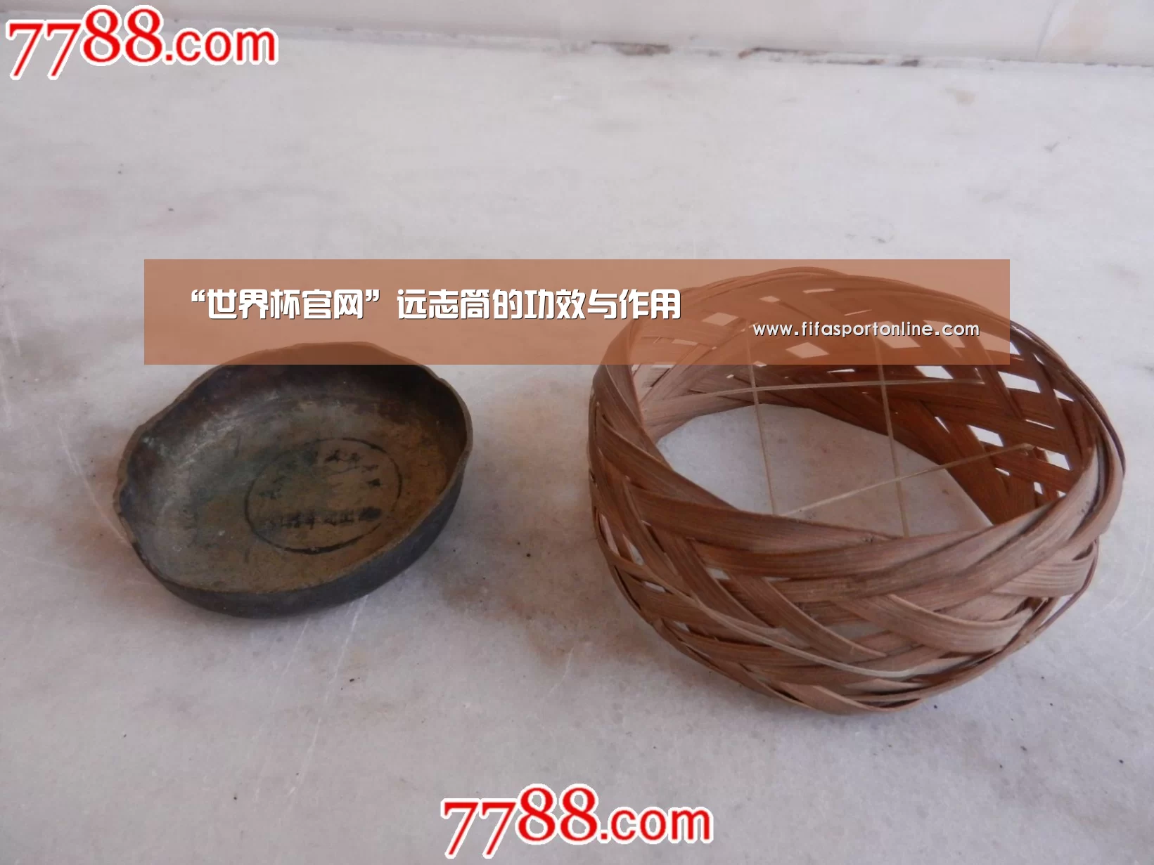 “世界杯官网”远志筒的功效与作用(图2) 世界杯官网