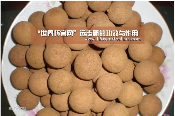 “世界杯官网”远志筒的功效与作用(图3) 2026世界杯
