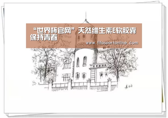 “世界杯官网”天然维生素E软胶囊 保持青春(图4) 世界杯