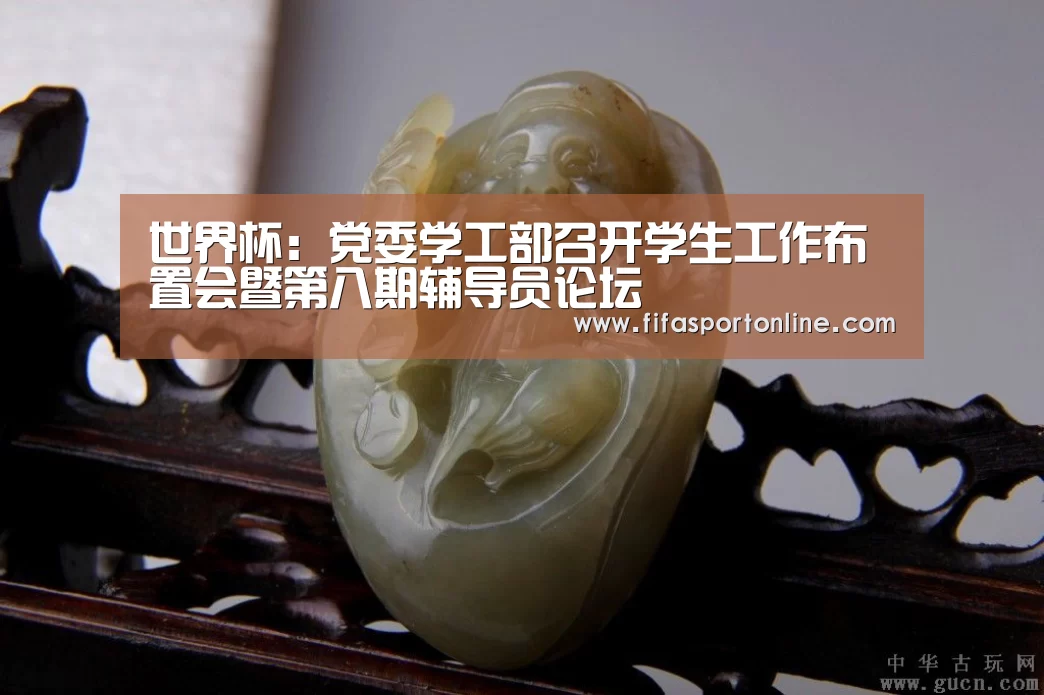 世界杯:党委学工部召开学生工作布置会暨第八期辅导员论坛(图4) 2026世界杯