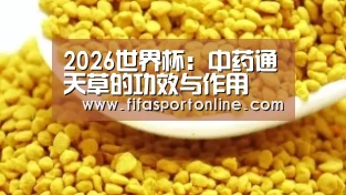 2026世界杯:中药通天草的功效与作用(图1) 世界杯