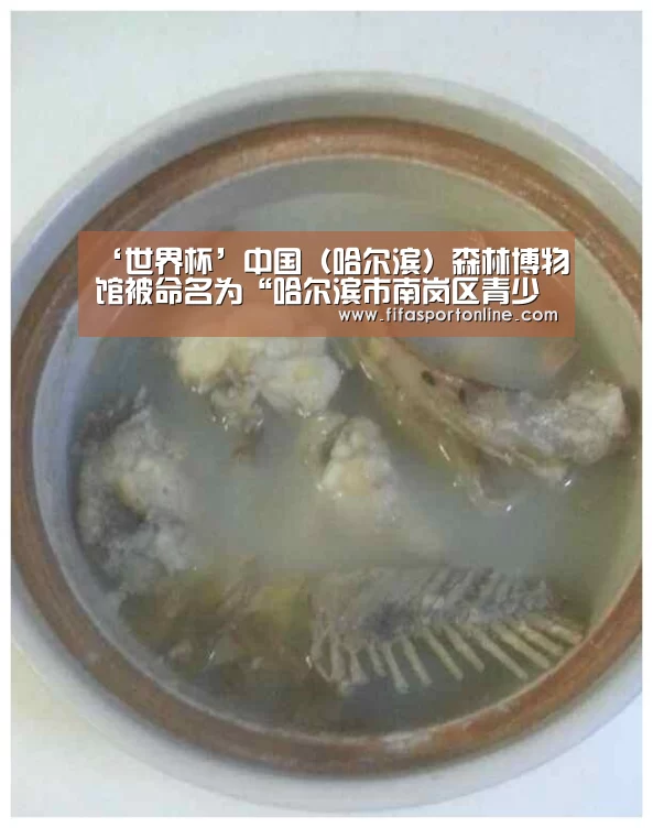 ‘世界杯’中国(哈尔滨)森林博物馆被命名为“哈尔滨市南岗区青少年校外教育实践基地”(图4) 世界杯官网