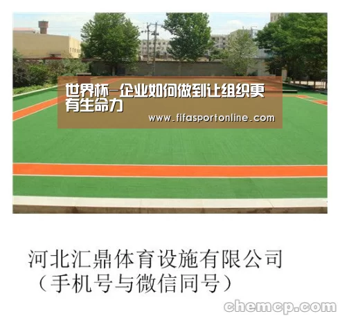 世界杯-企业如何做到让组织更有生命力(图4) 世界杯