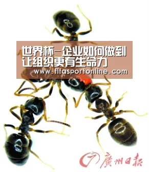 世界杯-企业如何做到让组织更有生命力(图2) 2026世界杯