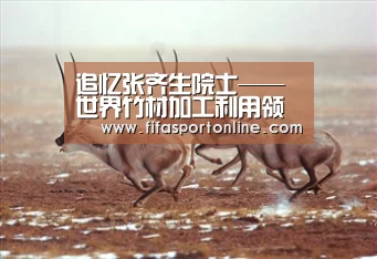 追忆张齐生院士——世界竹材加工利用领域的开拓者【FIFA世界杯】(图1) FIFA世界杯