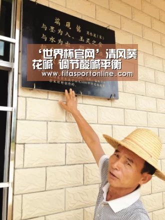 ‘世界杯官网’清风葵花碱 调节酸碱平衡(图1) 世界杯