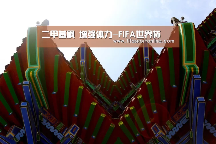 二甲基砜 增强体力-FIFA世界杯(图1) FIFA世界杯