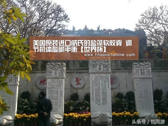 美国原装进口威氏的盐藻软胶囊 调节机体酸碱平衡【世界杯】(图2) FIFA世界杯