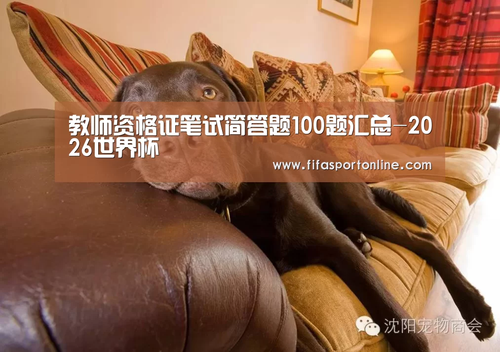 教师资格证笔试简答题100题汇总-2026世界杯(图1) 2026世界杯