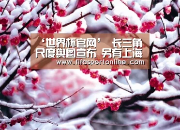 ‘世界杯官网’
长三角尺度舆图宣布 另有上海和16区尺度舆图在这里→(图7) 世界杯官网
